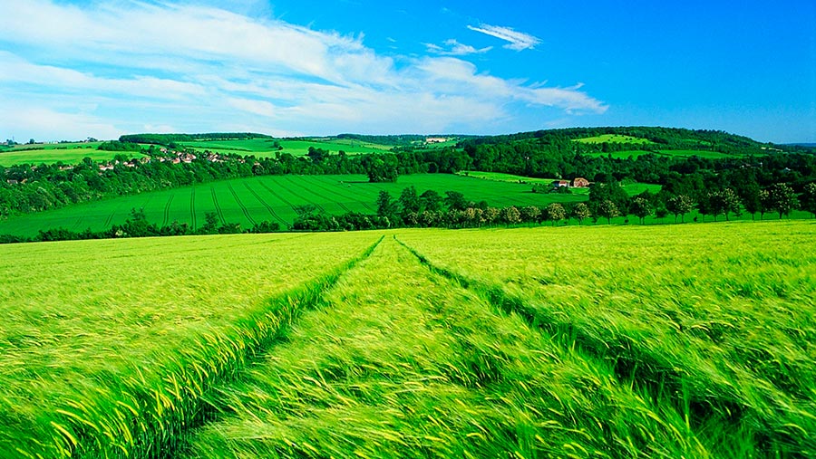 La Agricultura Ecológica en España