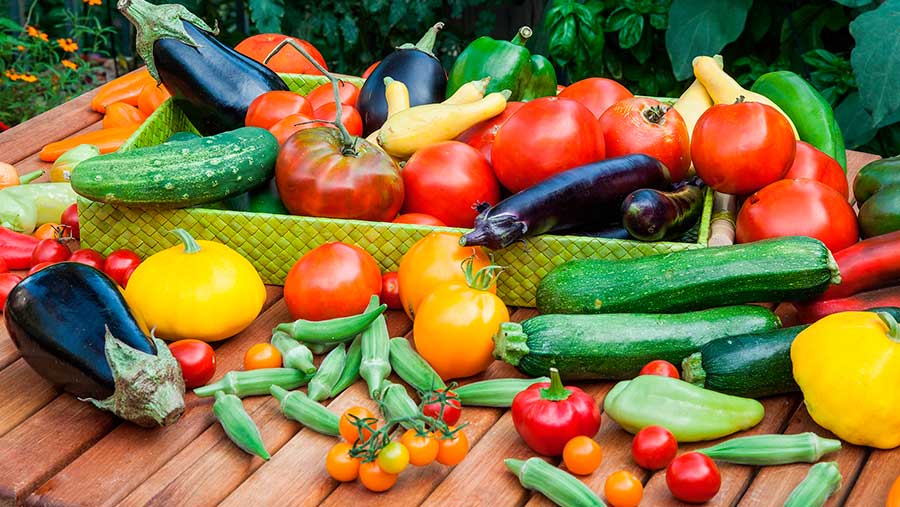 Verano, verduras de temporada