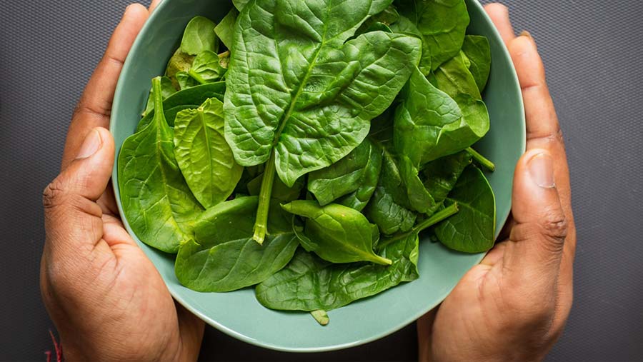 #JuntosLoSuperaremos Las 14 verduras más saludables para fortalecer tu organismo