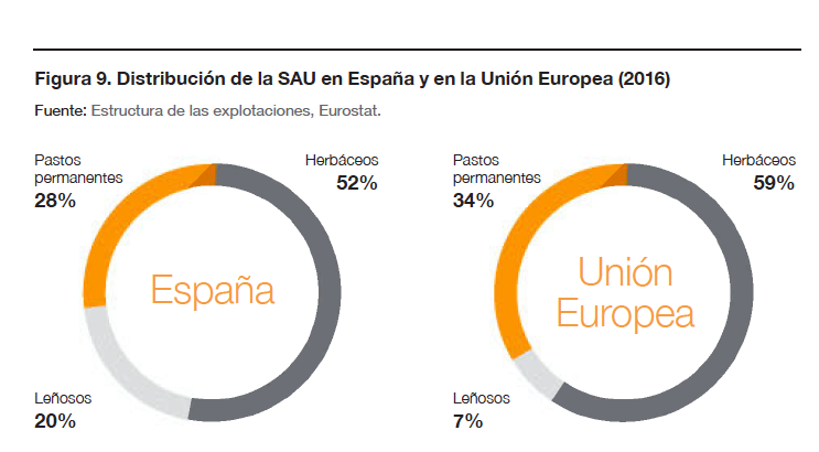 Distribución de la SAU en España y en la Unión Europea (2016)