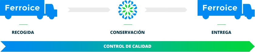 Nuestro proceso de conservación en Ferroice